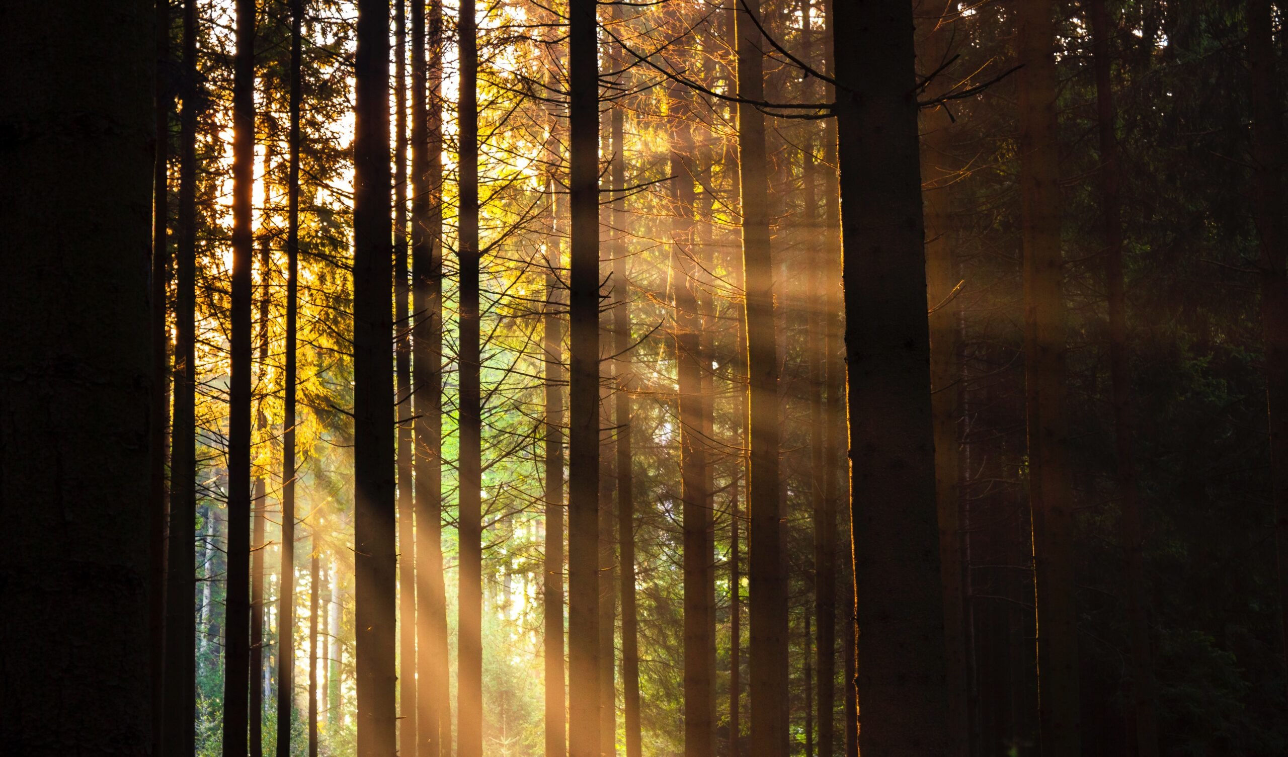 jan huber po6xfIiuNx4 unsplash scaled